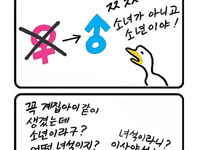 한호림 작가의 기독만화 미드미(2)