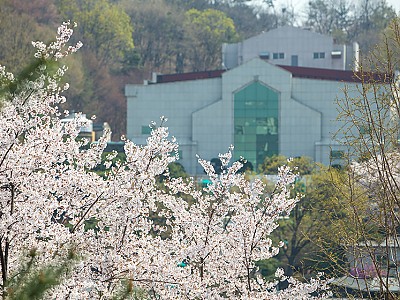 평강제일교회 사태 장기화…교단의 불법 고발