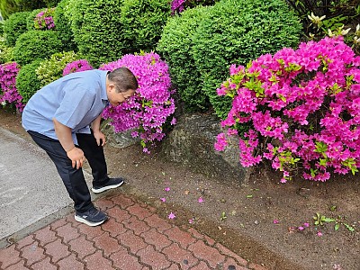 꽃잎을 물고 나는 새